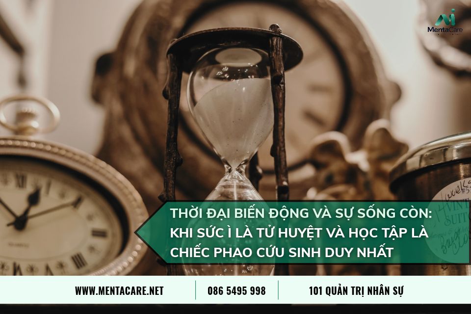 Thời Đại Biến Động Và Sự Sống Còn: Khi Sức Ì Là Tử Huyệt Và Học Tập Là Chiếc Phao Cứu Sinh Duy Nhất